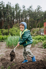 Little boy, happy child helps to dig soil with a shovel in the garden. Photography, agricultural concept, childhood.