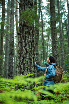 Young woman with backpack touching and observing the trunk of a pine tree, in the foreground ferns out of focus, love for nature and sustainability.