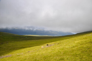 Faröer, Urlaub, Natur