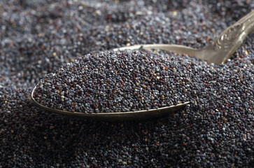 poppy seeds in a spoon. close up