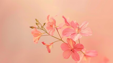 Obraz premium floral arrangement background