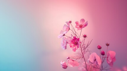 floral arrangement background