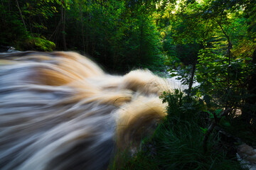 stream in the forest