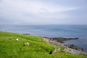Far&ouml;er, Urlaub, Natur