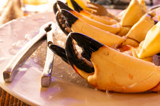 Plateful of Large Stone Crab Claws Ready to be Enjoyed