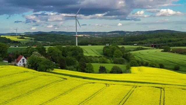 Aerial drone view of yellow rapeseed fields in German countryside. High quality 4k footage