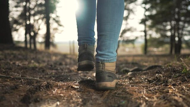 tread forward walk through forest terrain. Walking shoes forest path nature embrace. Close up shoes walk among trees. Shoes journeying walk woods. Walking shoes crunch leaves peaceful forest stroll.