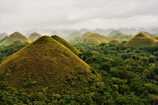The Chocolate Hills - an interesting geological formation (conical karst hill range) and famous tourist attraction in Bohol (Bohol province, Philippines)