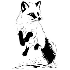 Monochrome Arctic Fox jumps vintage hand drawn animal illustration, transparent background