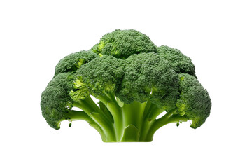 A large head of broccoli is the main focus of the image, white background, transparent background