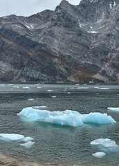 icebergs and glaciers on the arctic ocean in greenland