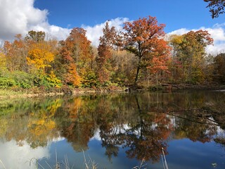 Fall reflection