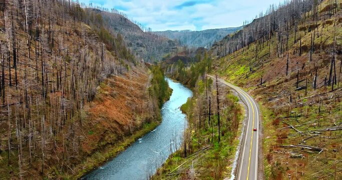 Narrow river flowing along the highway at the foot of the mountains. Timber from dead pine trees cover the slopes of rocks. Top view.