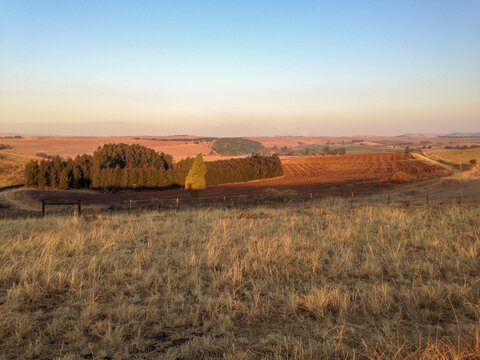 Late afternoon sun shining on pasture and tilled agricultural land near Stags, South Africa