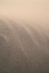 Sand Dune Closeup of Wind Ripples in Warm Glittering Sunset Light