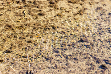 texture of the ground in water