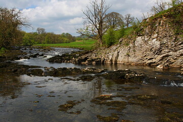 The River Wharfe between Hebden Hippings (below Hebden) and Burnsall, Wharfedale, North Yorshire, England, UK