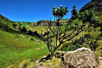 Beautiful mountain scenery as seen while hiking Gudu Pass Trail in the Royal Natal National Park (northern Drakensberg, South Africa)