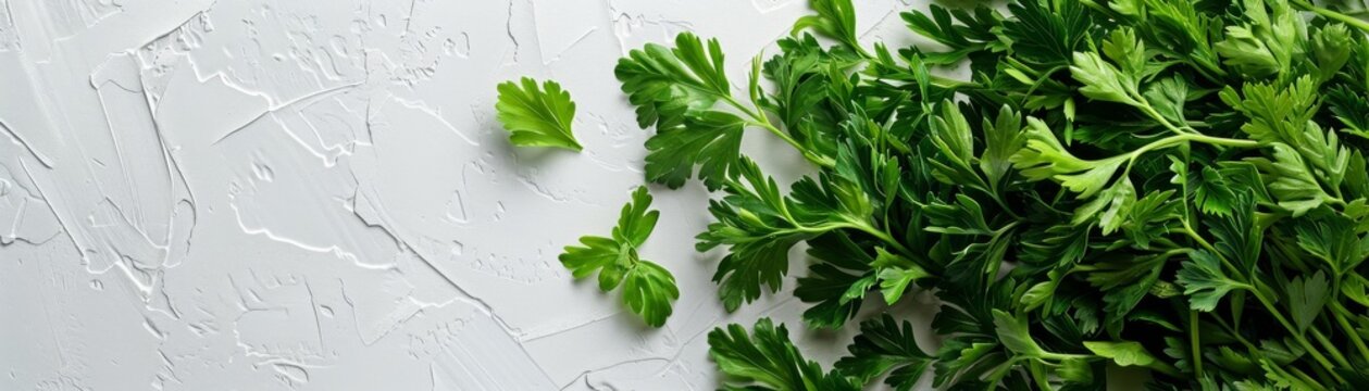 A fresh bunch of chervil, its fine, fern-like leaves arranged neatly on a white backdrop, showcasing its delicate structure and vibrant green color, with space for text
