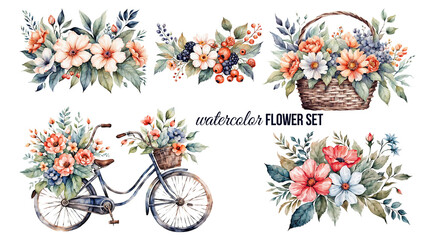 watercololor floral illustration set. bike, busket isolated white background for design