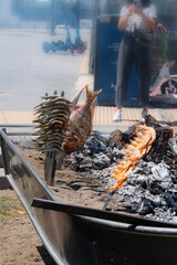 Skewers of octopus, sea bream, shrimp and sardines, grilled over a wood fire in a boat on the sand of the beach. Typical dish from Malaga, Andalusia, Spain.