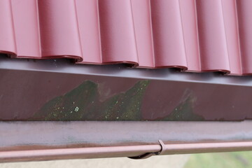 Visible moss in the gutter. Gutter cleaning