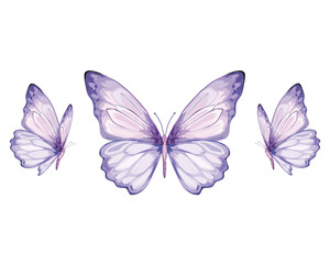 Watercolor butterfly decorative butterflies set retro vintage style butterfis. Vector illustration design for fashion, tee, t shirt, print, poster, graphic, background.
