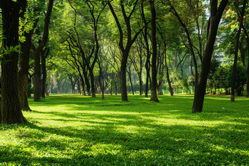 A peaceful park with green lawns and tall trees providing shade.