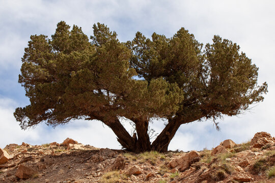 Sabina Albar in A&iuml;t Bouguemez Valley, Morocco