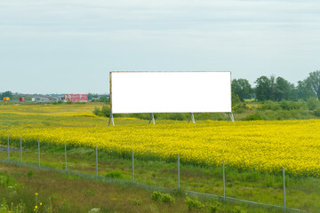 A field of yellow flowers with a billboard in the foreground under a clear sky