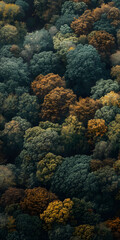 Naklejka na ściany i meble Árvores com Folhas Coloridas de Outono