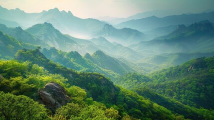 Summer mountain forest in south korea