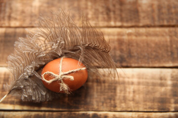 Painted egg with feather on wooden background. Easter concept,