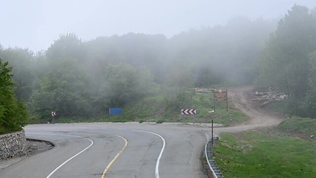 Fog in the forest. Igneada road. Jandarma kule. High hill road. Fogy Igneada roads.