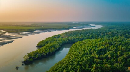 Sundarbans mangrove forest river trees sky view