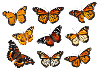 Assortment of colorful butterflies isolated on transparent background