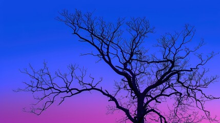 The image shows a leafless tree with illuminated branches against a twilight sky. The sky transitions from a deep blue at the top to a purple hue near the horizon.