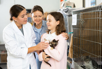 Happy tween girl holding cute scared kitty in hands and talking to young positive female owner of...