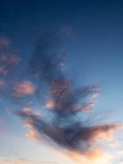 Sunset sky with clouds in shape of a bird or dragon. Nature background.