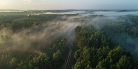  Fog in  Forest Aerial view Generative AI