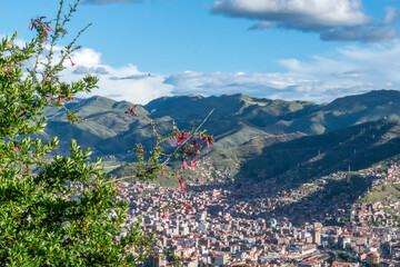 Flor de la cantuta con paisaje de cusco de fondo