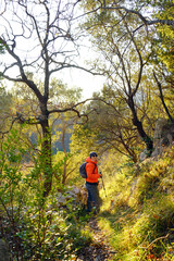 Naklejka premium A man in a bright jacket with trekking poles walks along a forest path. A tourist during an active holiday in Montenegro.