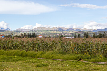 Paisaje de provincia de ma&iacute;z