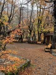 Bosque Cerro El Tronador em Bariloche