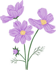 Purple Cosmo Flower Hand Drawn