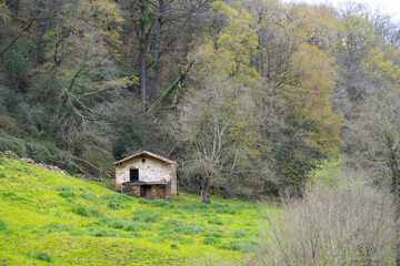 small house in the middle of a meadow and a forest. Shepherd's hut called Borda Cantabria Spain