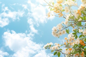 beautiful spring flowers blooming against blue sky