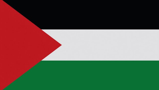 Palestine Flag Flip Animation Curtain Transition Effect Transparent Background Alpha Channel