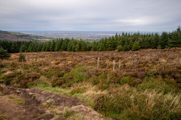 A view of Dublin, Ireland from the Dublin Mountains