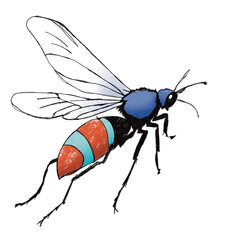 mosquito in flight